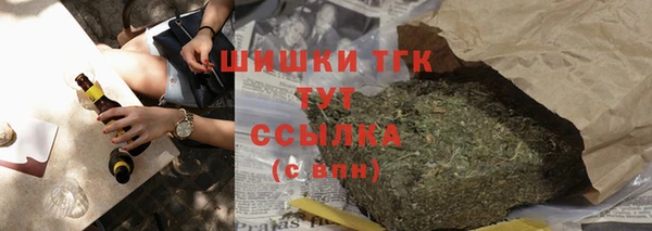 тгк Абаза