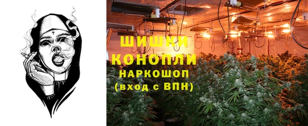 тгк Абаза