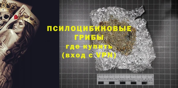индика Алзамай