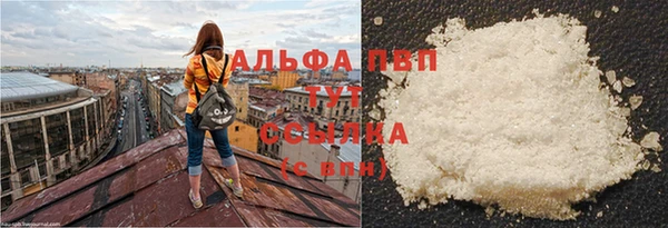 тгк Абаза